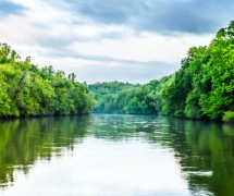 的照片阿巴拉契科拉查特胡奇河弗林特河流域,绿色的树木