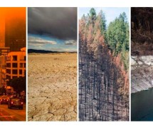 四个图像包括火灾、风暴云,松树,低水